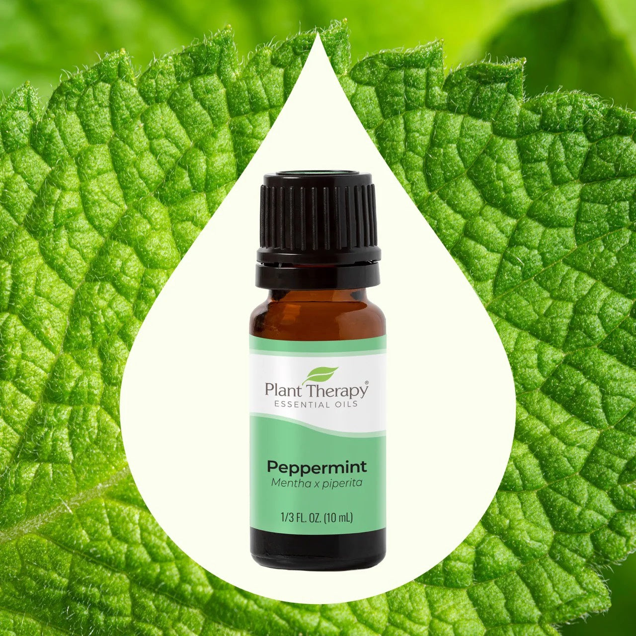 Peppermint Essential Oil 10ml